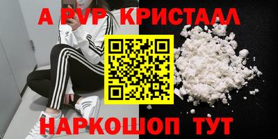 индика Сланцы
