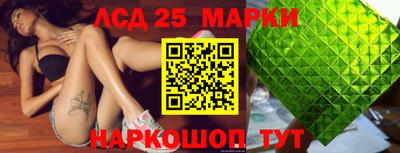 крисы Славгород