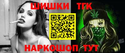 индика Сланцы