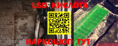 крисы Славгород
