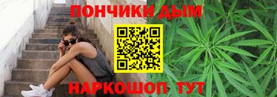 крисы Славгород