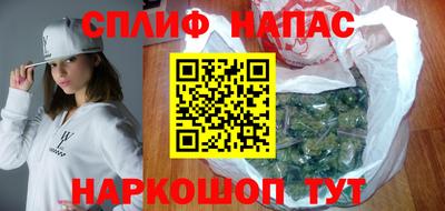 индика Сланцы