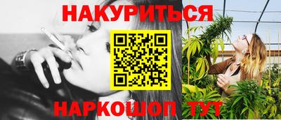 крисы Славгород