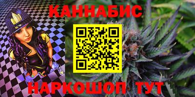 крисы Славгород