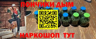 крисы Славгород