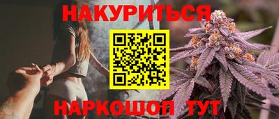 крисы Славгород