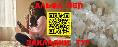 крисы Славгород