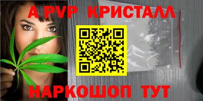 индика Сланцы