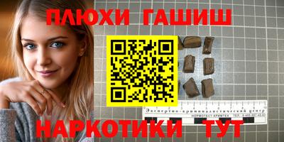 индика Сланцы