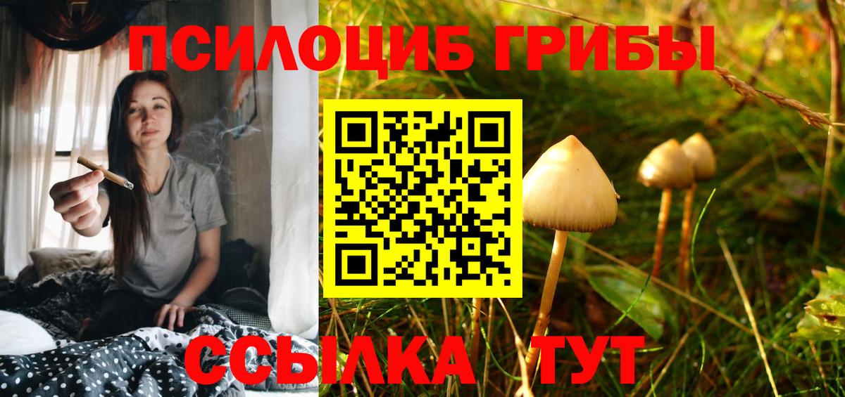 Псилоцибиновые грибы мухоморы Павловский Посад