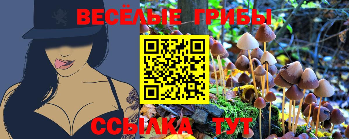 купить закладку  Вход с VPN  Павловский Посад  Псилоцибиновые грибы GOLDEN TEACHER 